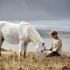 National Day of the Horse